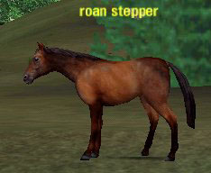 Picture of Roan Stepper